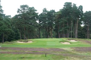 Swinley Forest 17th